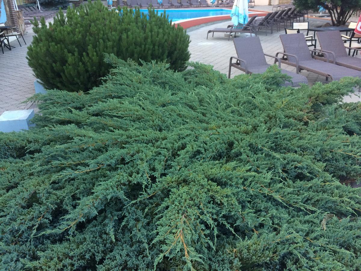 Arkada Beach Club Otel Mala Danylivka Dış mekan fotoğraf